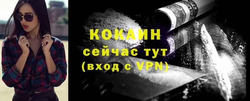 сколько стоит  Зверево  блэк спрут tor  COCAIN Columbia 